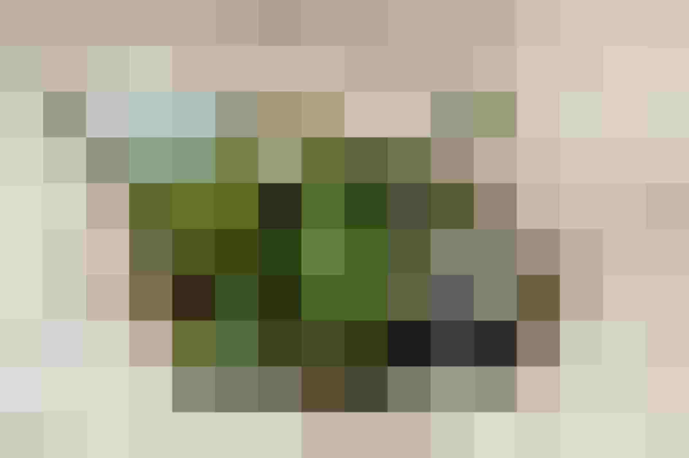 Glasgefäße mit frischen Kräutern auf goldenem Tablett für Wellness und Genusshotel