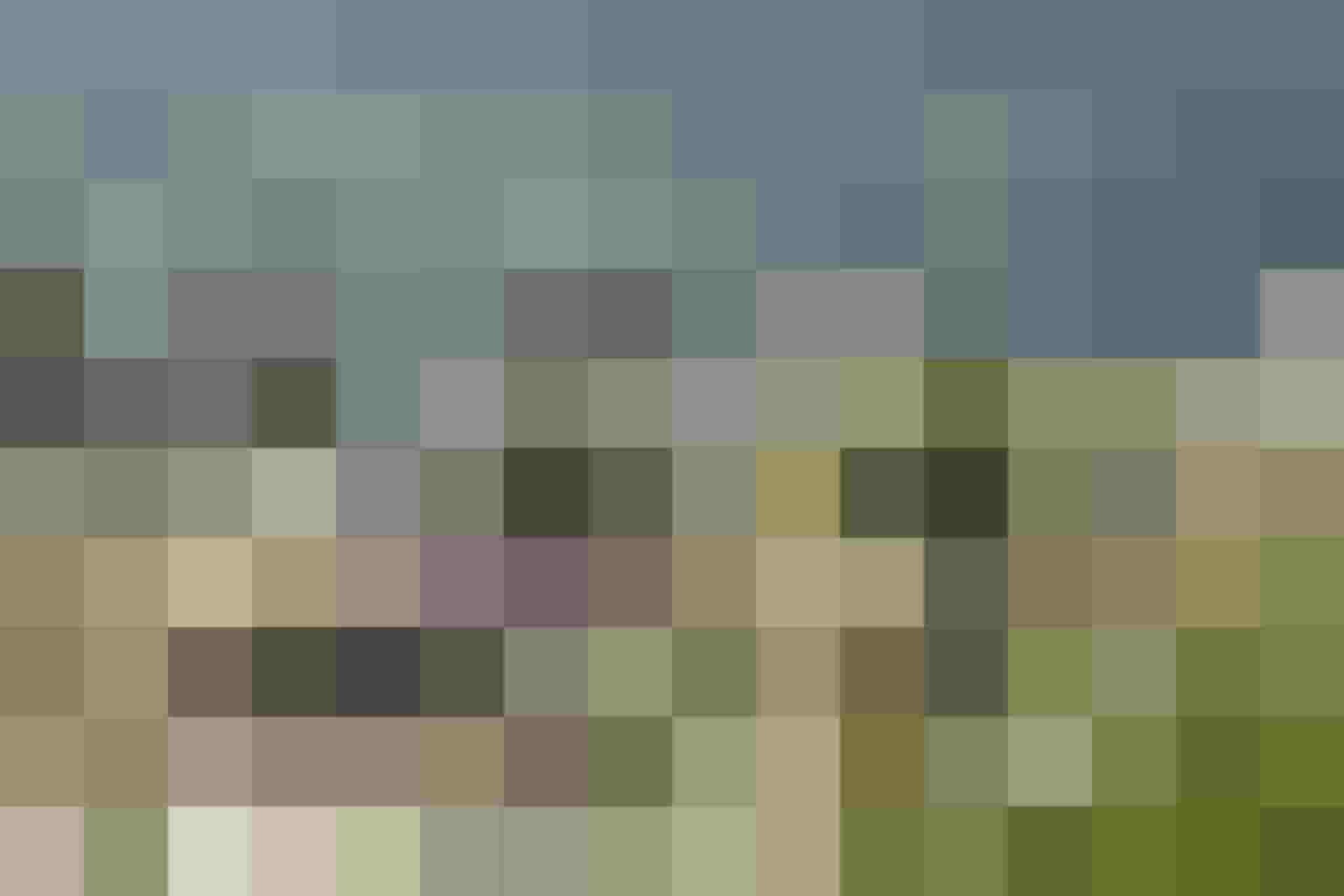 Weiße Blumenwiese mit Bergpanorama vor Designhotel DAS.GOLDBERG im Salzburger Land