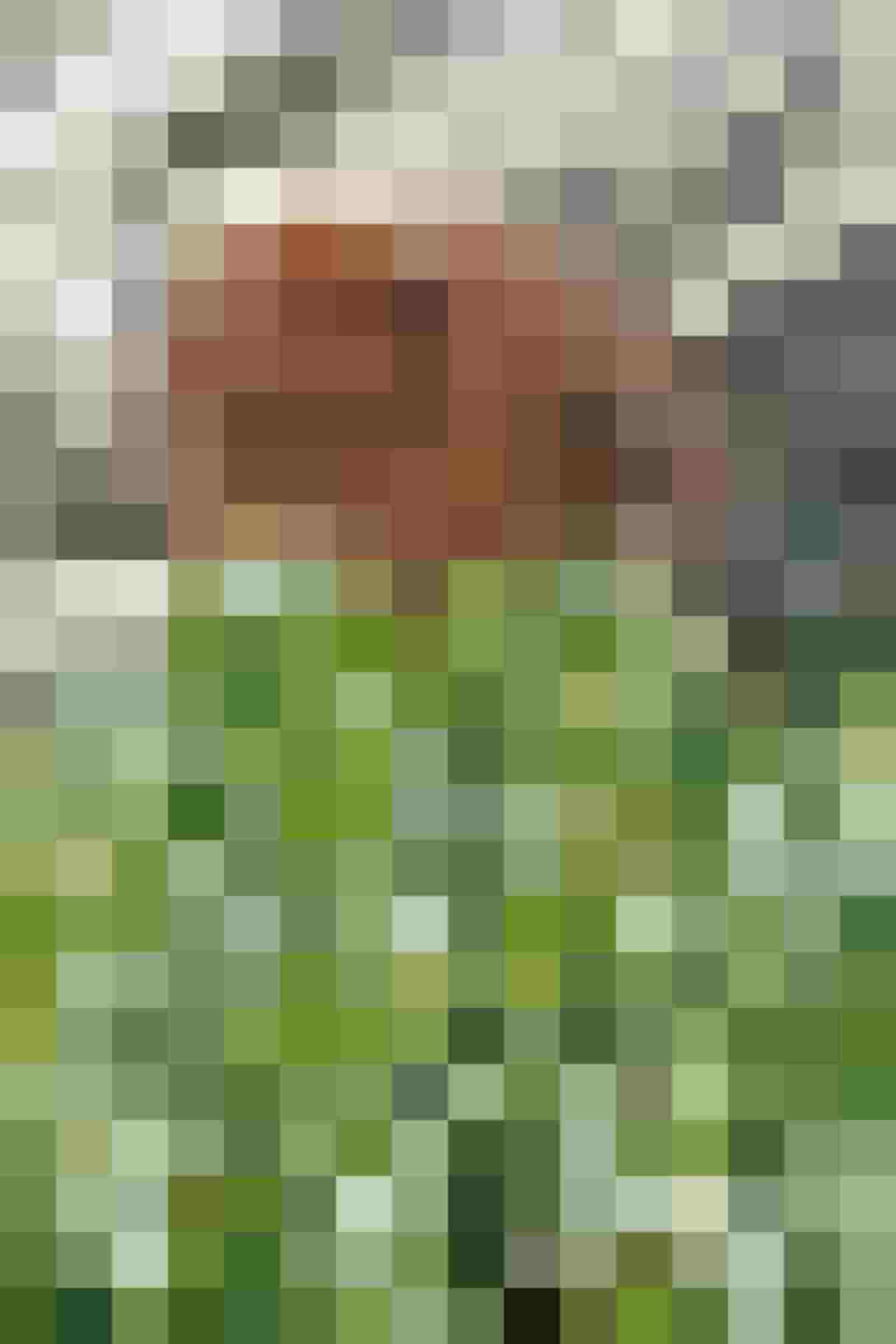 Holzschild mit Schriftzug Fette Henne in Naturhotel-Garten im Salzburger Land