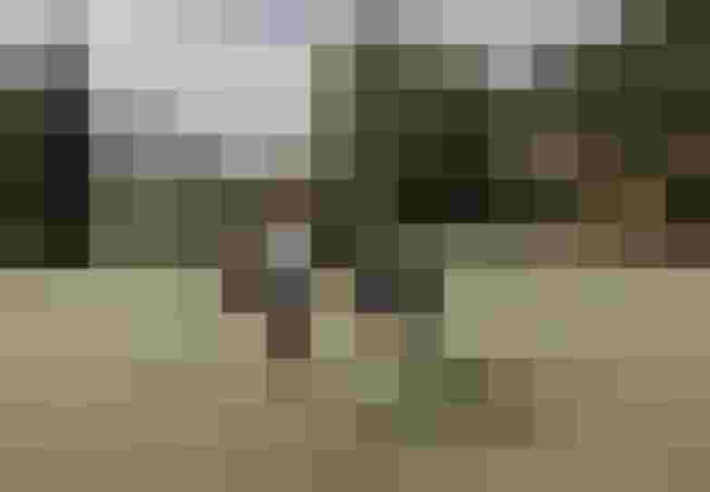 Elisabeth Fotografie